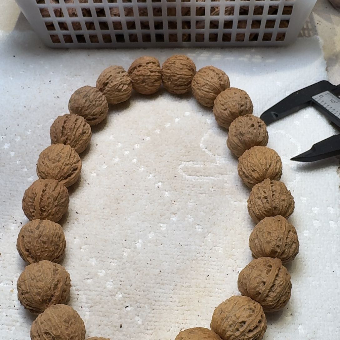 核桃手串/手链129号边24手持