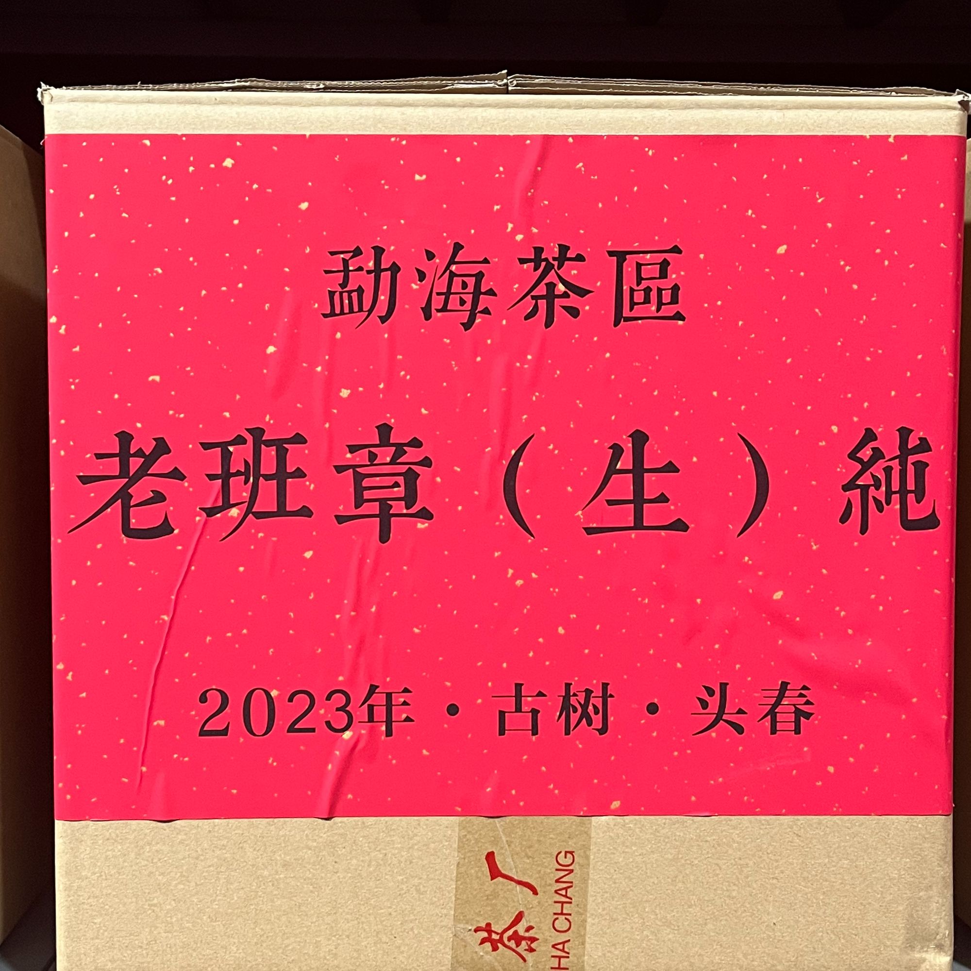 【啊豪普洱】2023年老班章古树混采纯料 茶王地头春 普洱茶生茶散茶