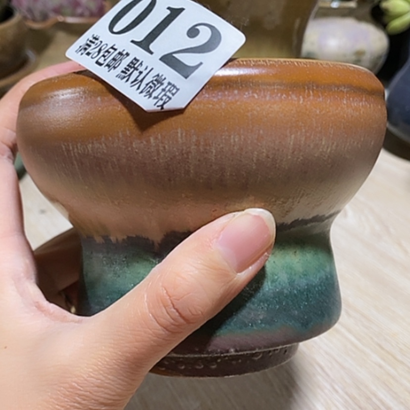 【闪购商品】红陶口10.5