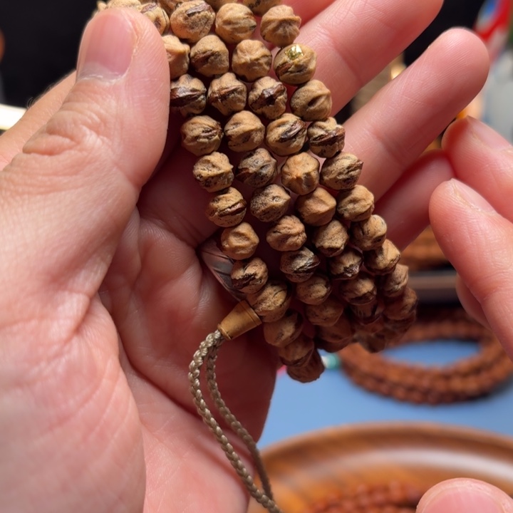 柏木红芽横打一刀不动7+金标款