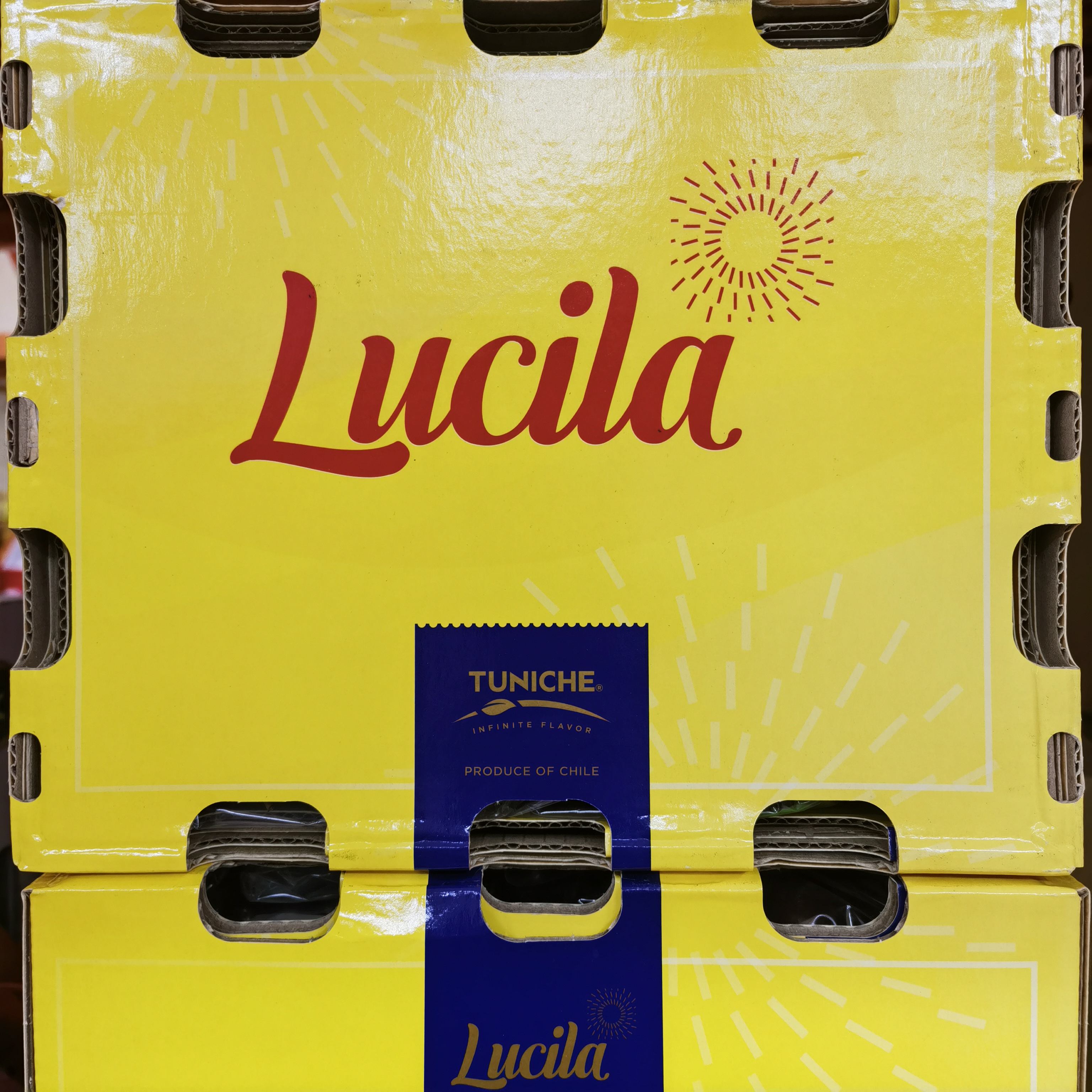 【京东次日达】海运智利进口车厘子   2JD  2.5kg    智利