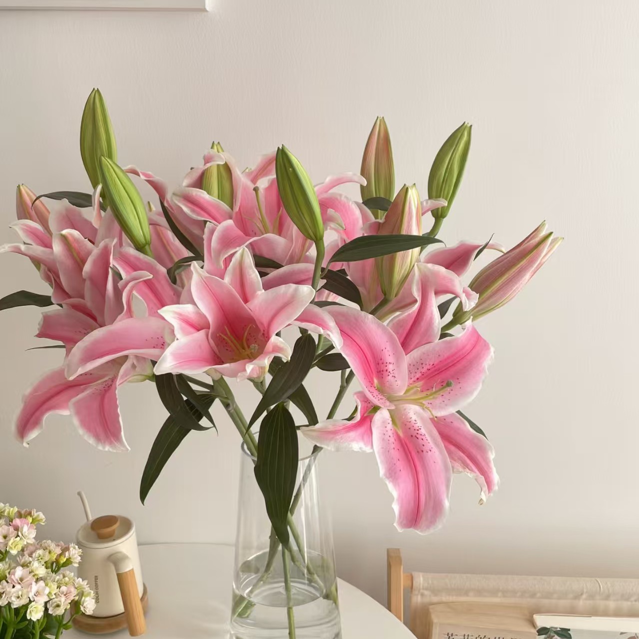 【粉色香水百合】