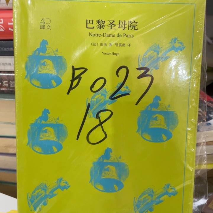 巴黎圣母院正版塑封