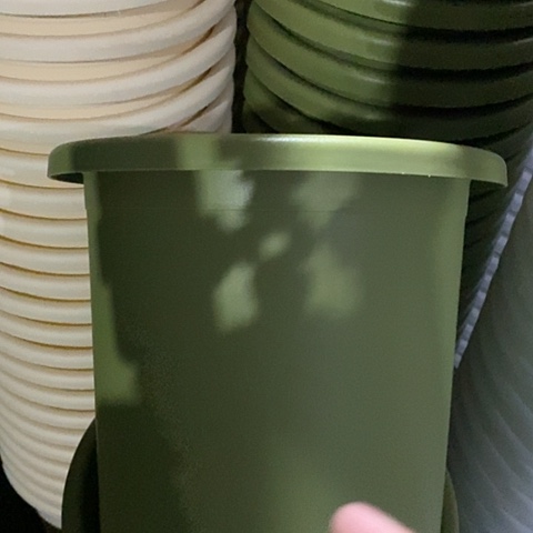 树脂四季7号果绿无托6个