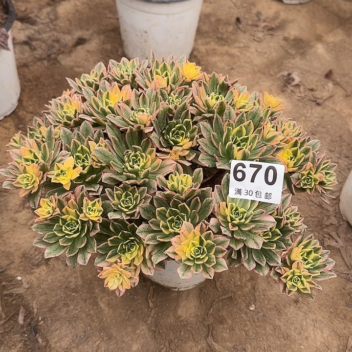 670。                