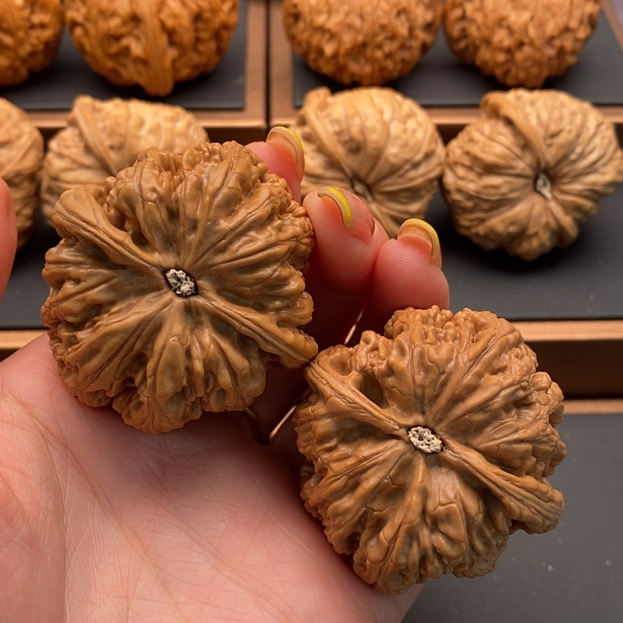 【闪购商品】文玩核桃把件凹*粗筋45修