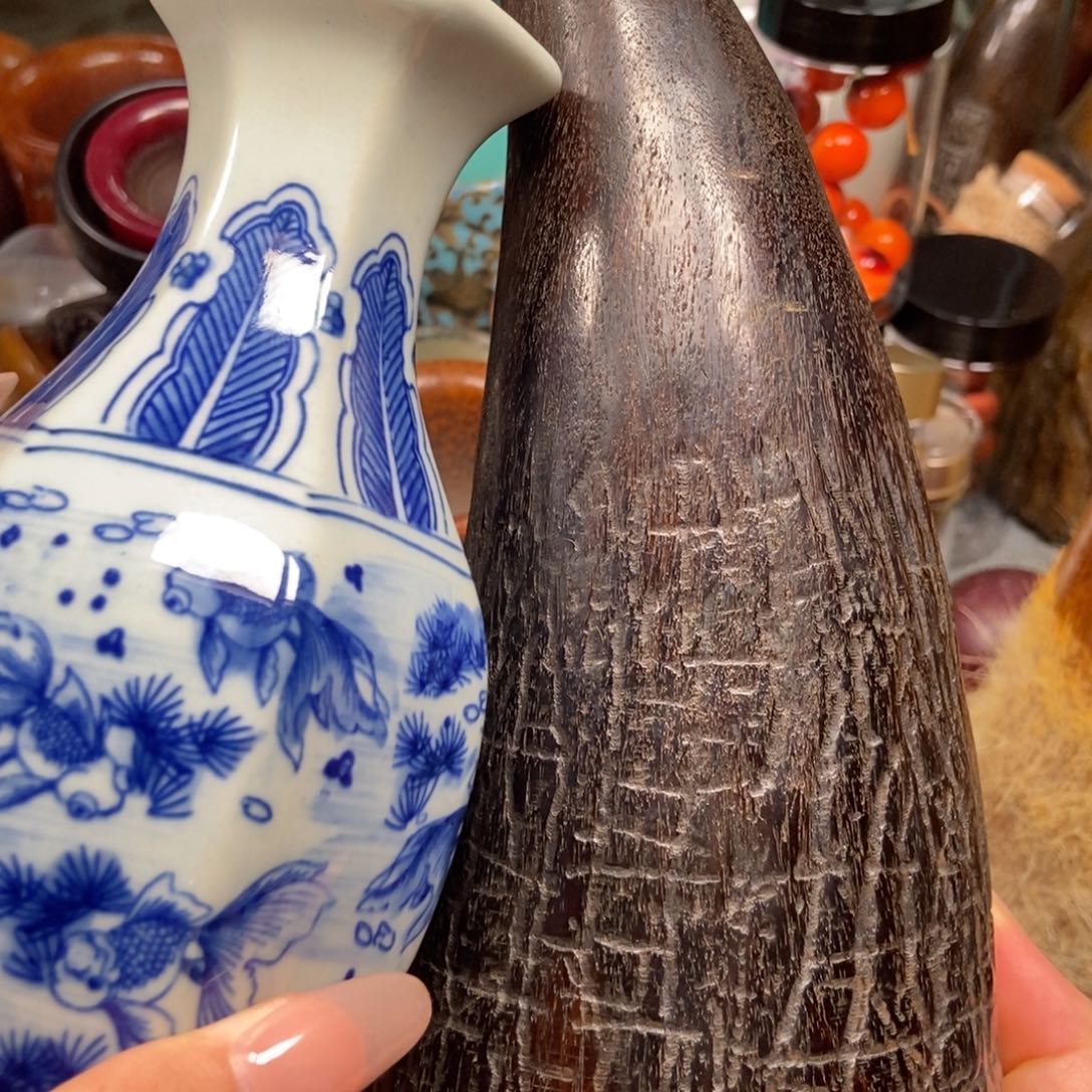 主播节目主持人和主持人的