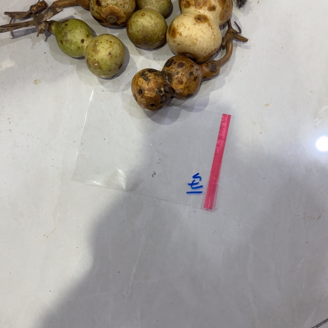 兵***哥葫芦v干活GVv刚刚尴尴尬尬哈哈给GVv