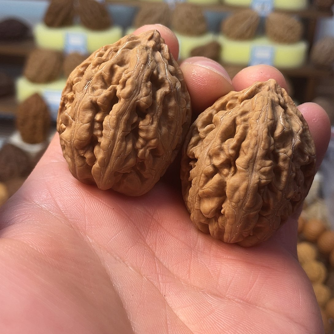 文玩核桃把件珊瑚紋将军膀