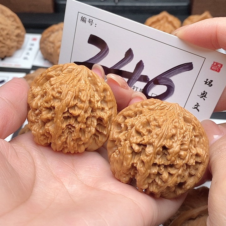 文玩核桃吊坠246号 47尺 满天星