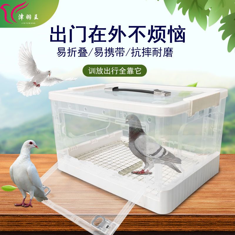  鸽子专用运输笼，训放笼。