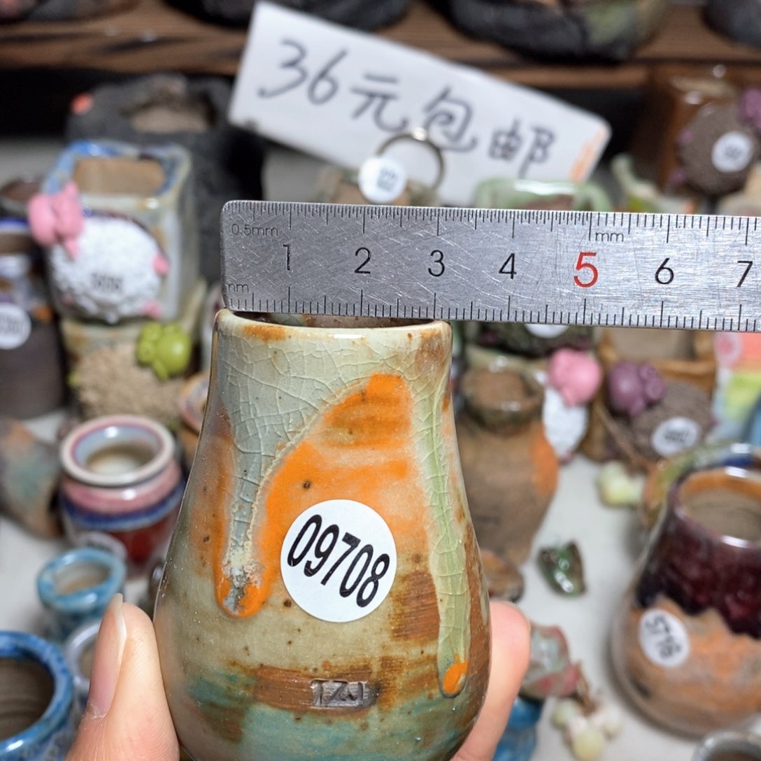 拍5送一个小礼物