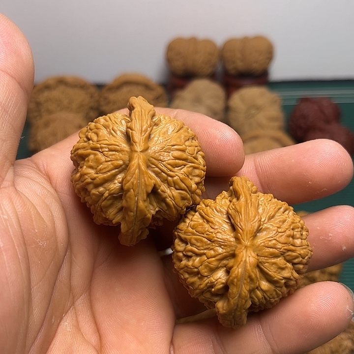 43尺球白有打底白狮子