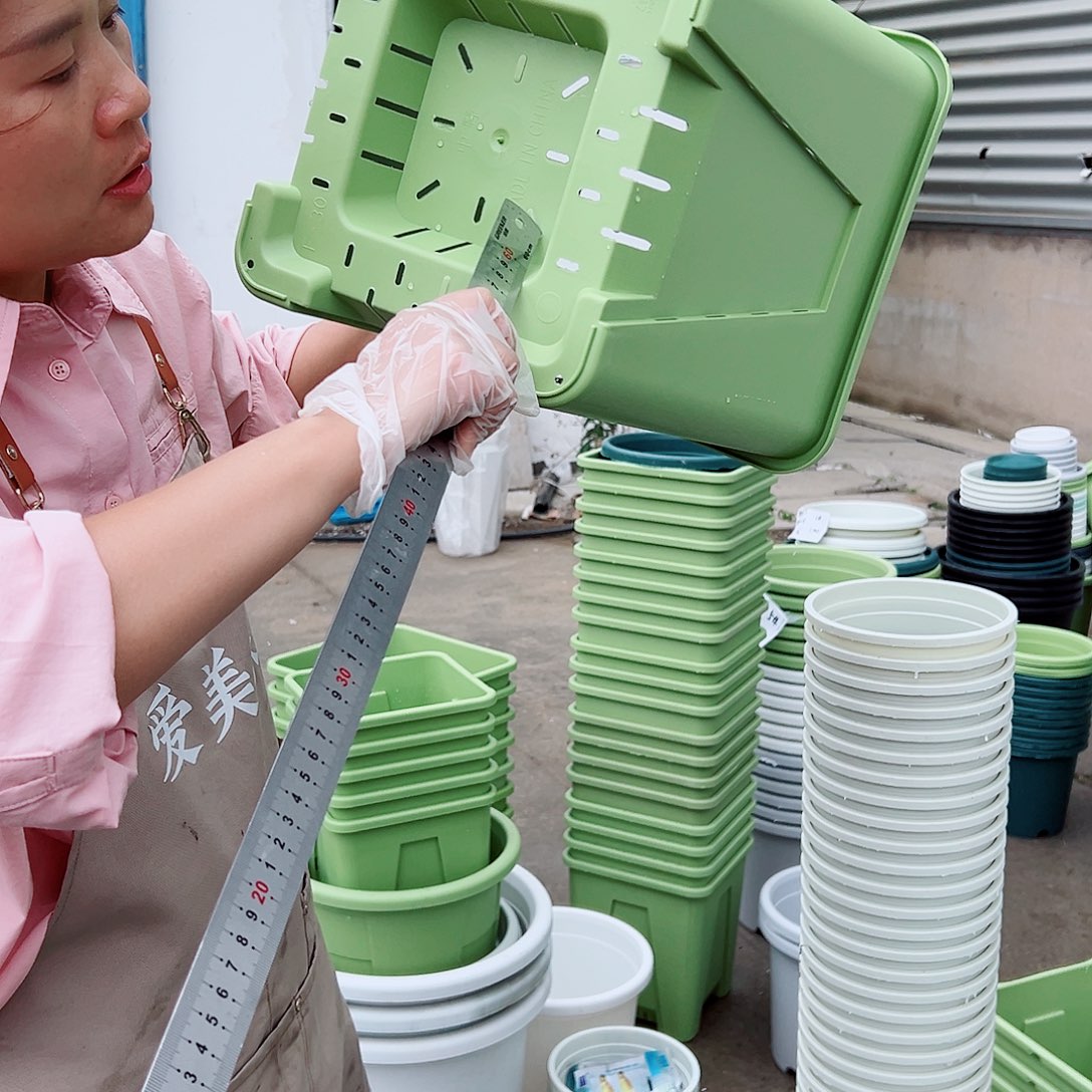 方盆F30#果绿色3个无托