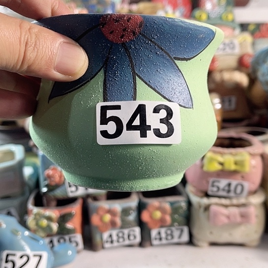 红陶多肉植物花盆