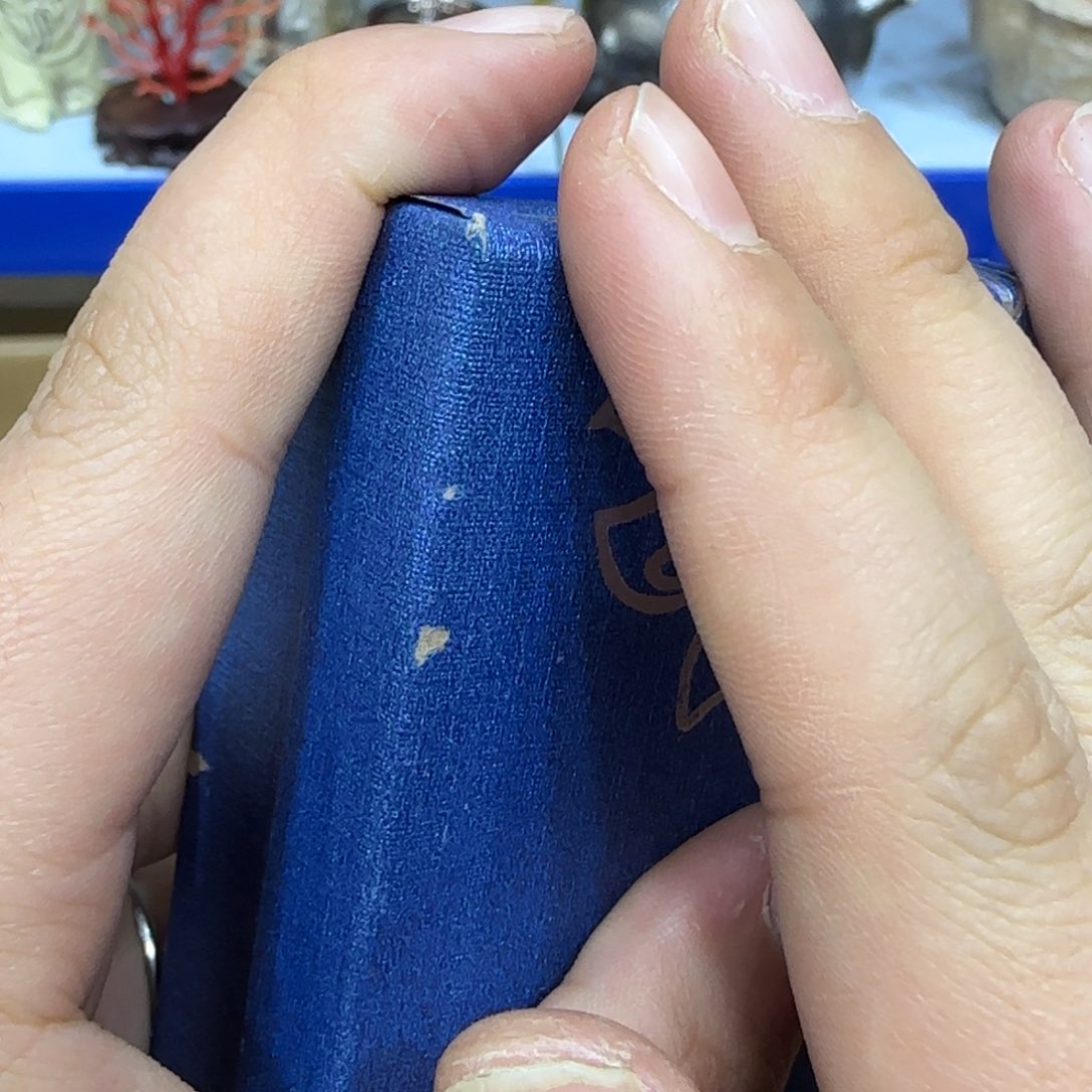 茶宠茶宠哈哈哈哈哈哈