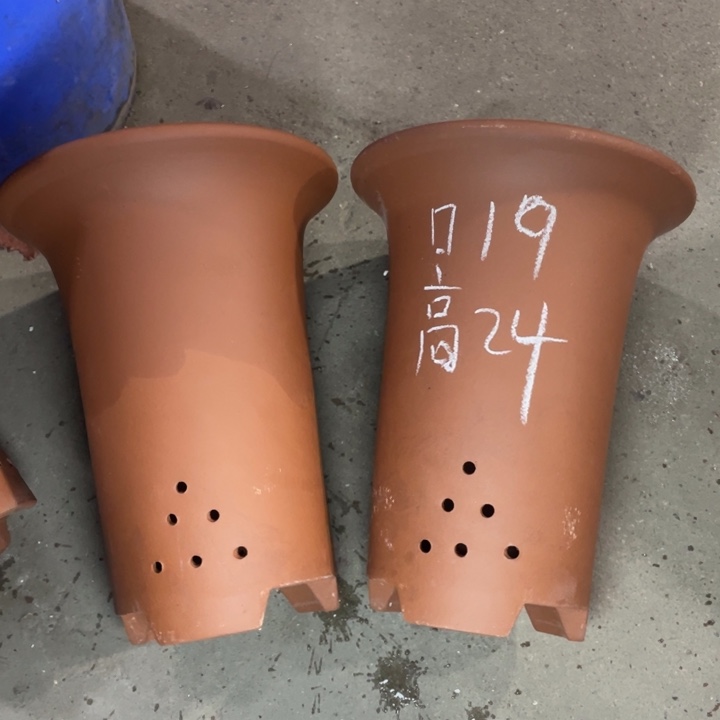 紫砂紫砂紫砂紫砂 