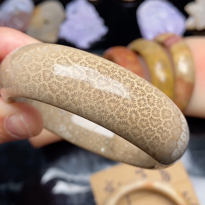 硅化珊瑚（珊瑚玉）手镯未镶嵌55.3