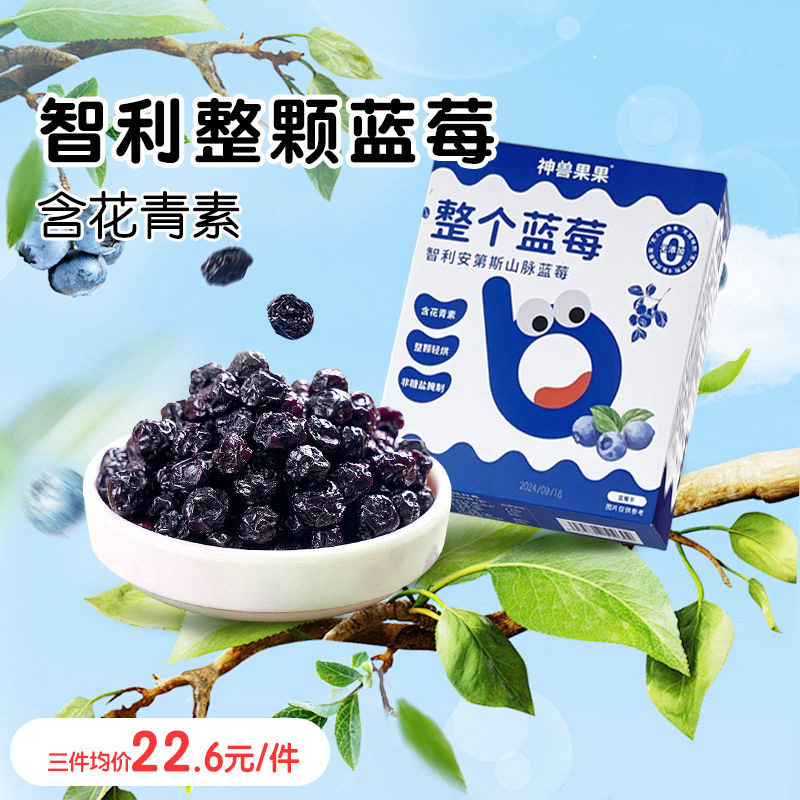 神兽果果整个蓝莓果肉干添加水果脯独立包装孕妇儿童宝宝