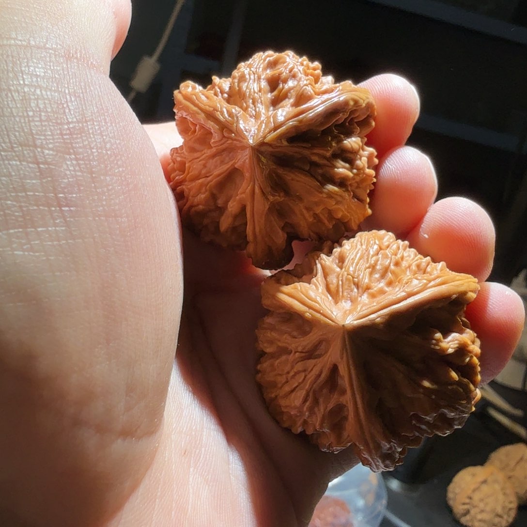 文玩核桃把件御龙正奔