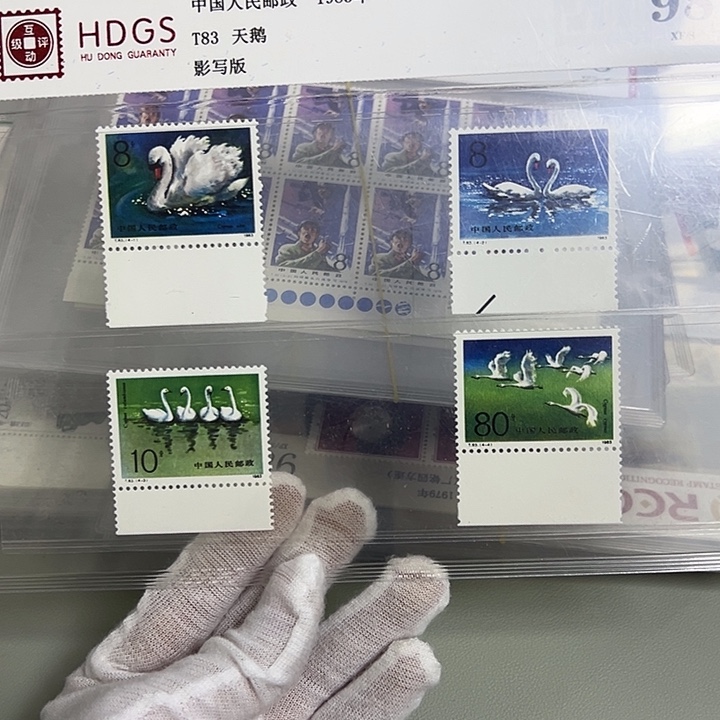 T83下边纸评级98邮票