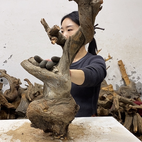 （***）柏木我们都是好孩子