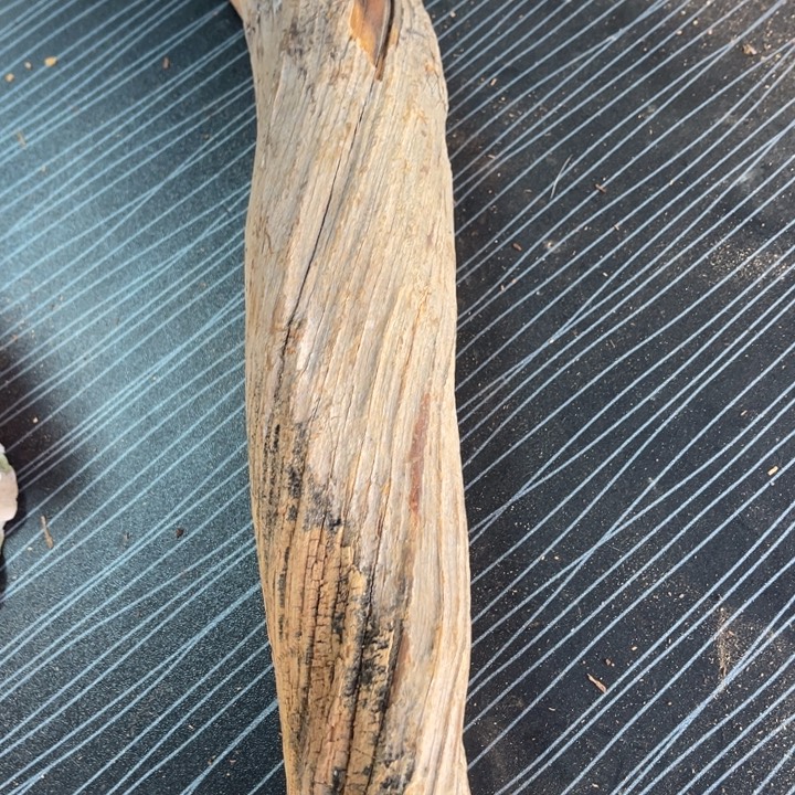 柏木（崖柏）太行崖柏陈化香料