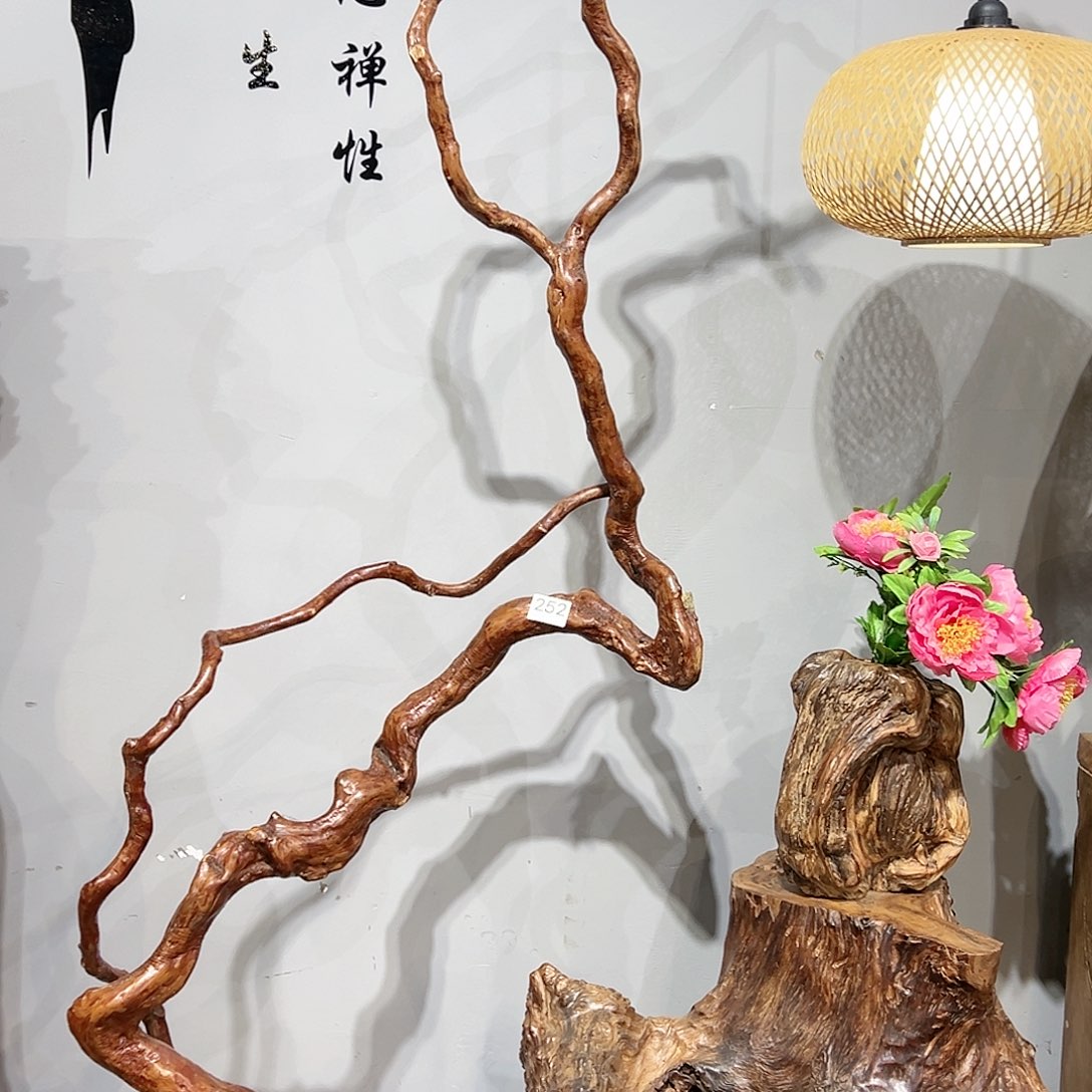 木徐*252gjjhhjjnbbvvgvhb