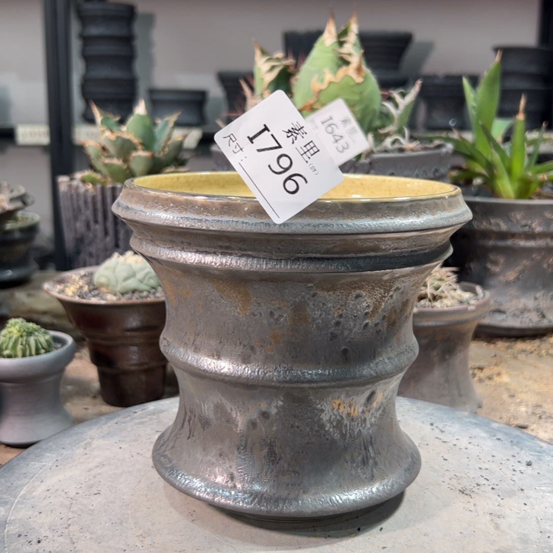 景德镇素里手工内口14高14