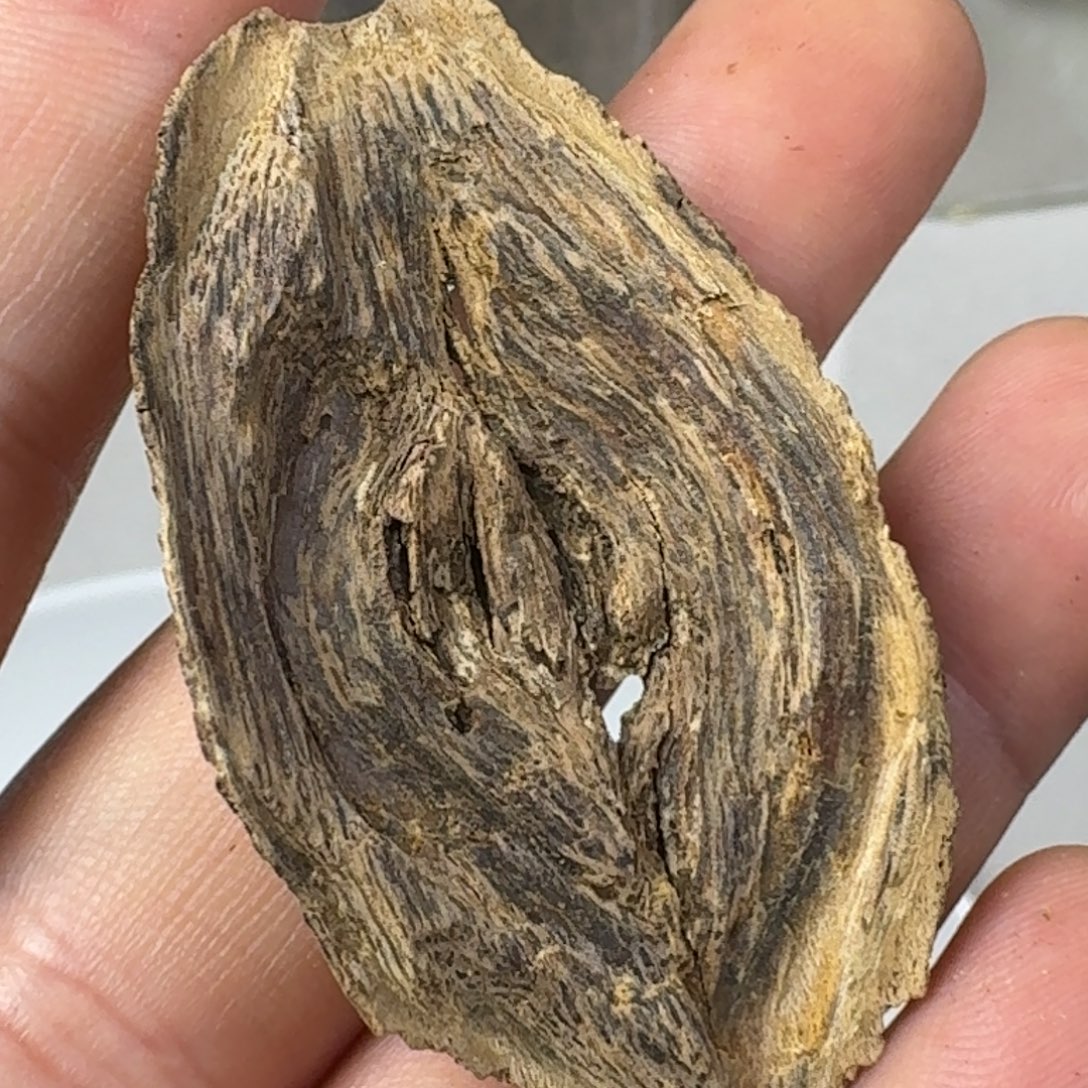 沉香沉香碎屑海南沉水虎斑棋