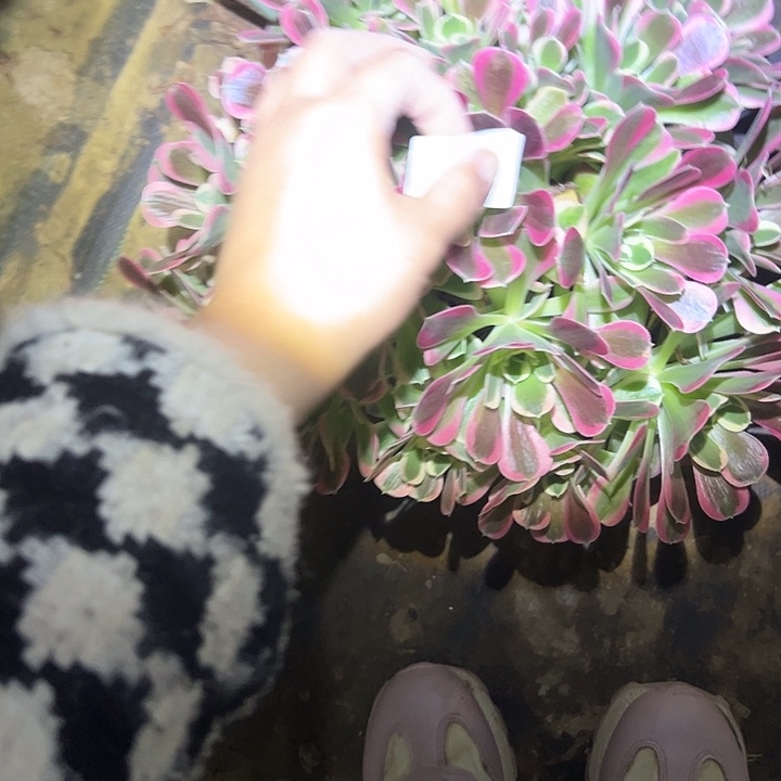 法师链接不售后110