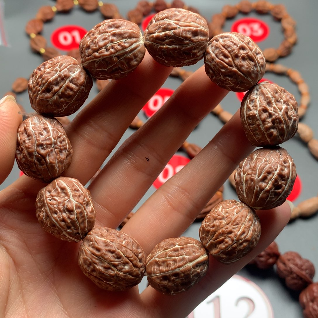 核桃5东北秋子小枣