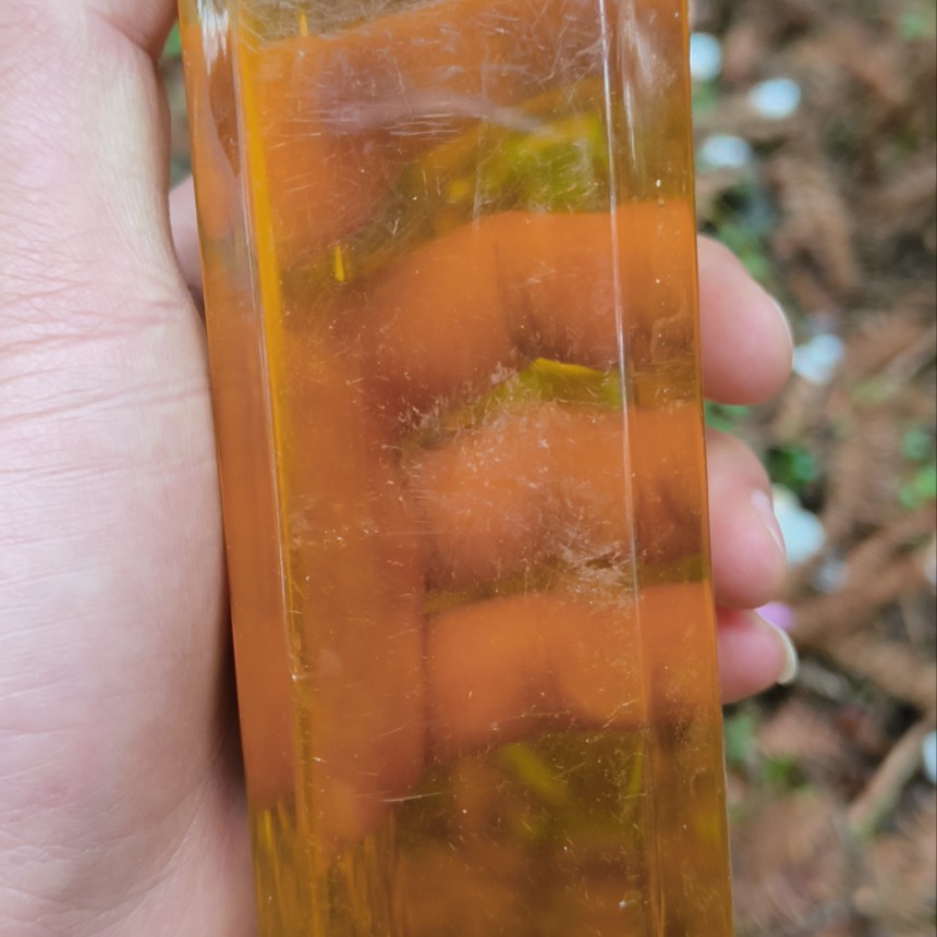 云南边境土特产~樱花G游