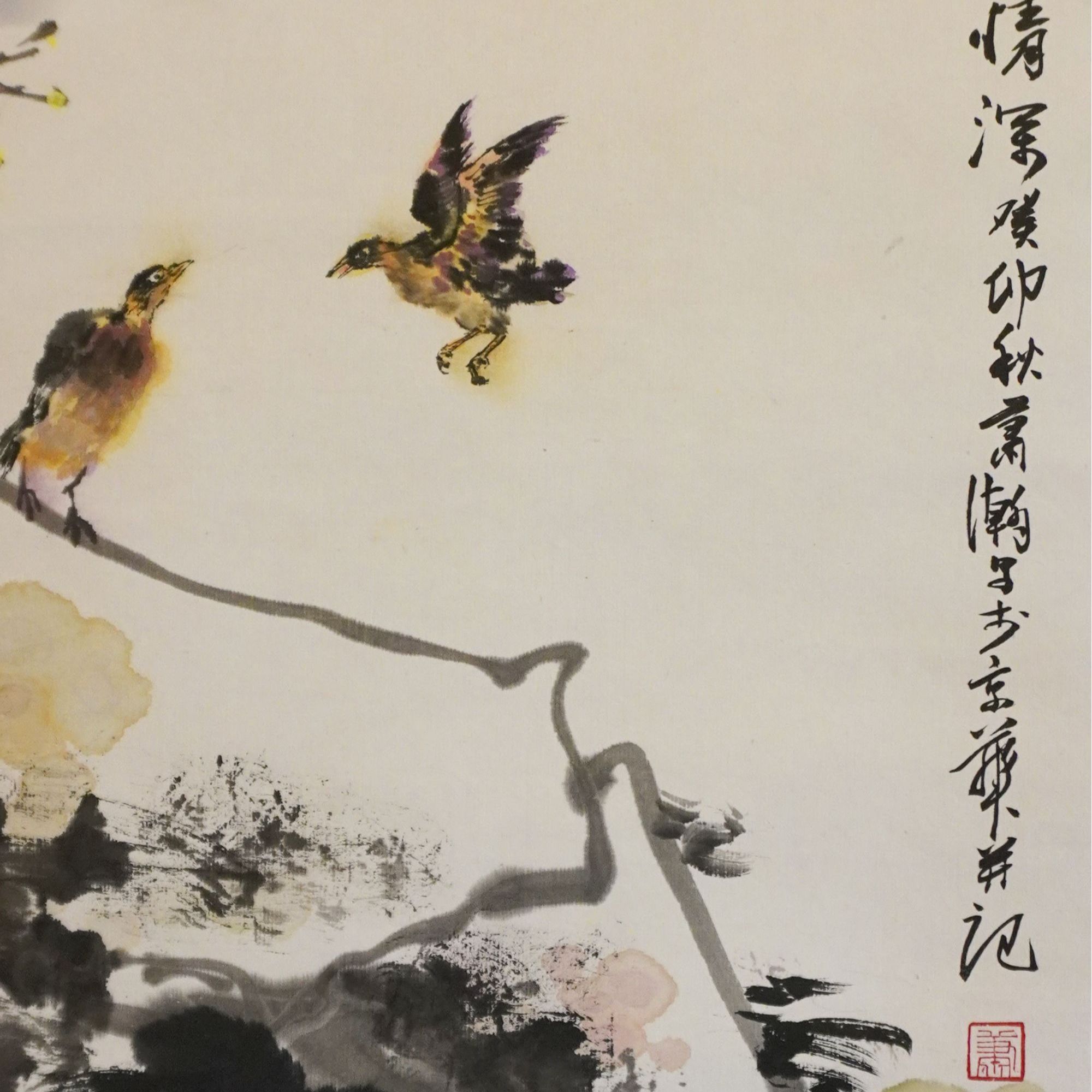 22020萧瀚情深41*29