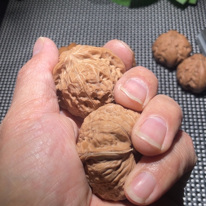 文玩核桃把件倔*文玩核桃