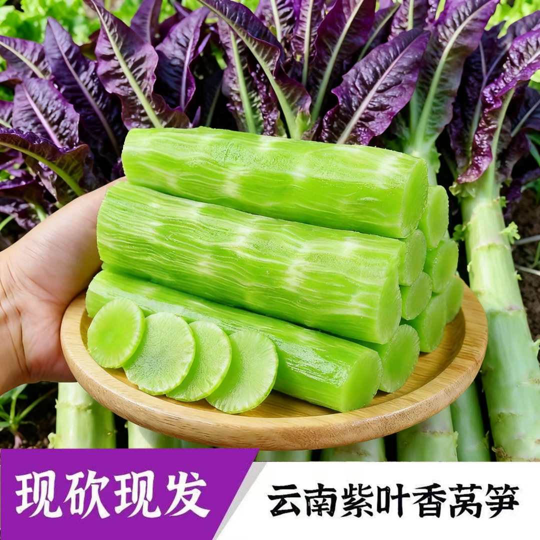云南高山露天现砍紫叶香莴笋农家种植当季时令蔬菜xn