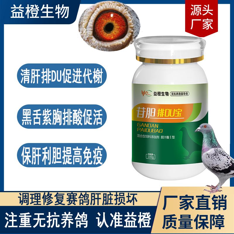 益橙苷胆排DU宝赛鸽种鸽幼鸽观赏鸽鸽子禽类用公棚养殖常备