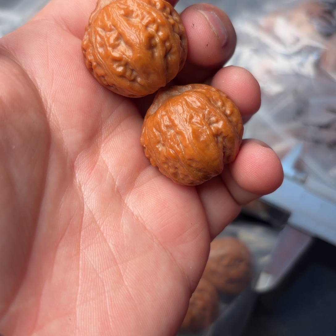 文玩核桃把件67000000