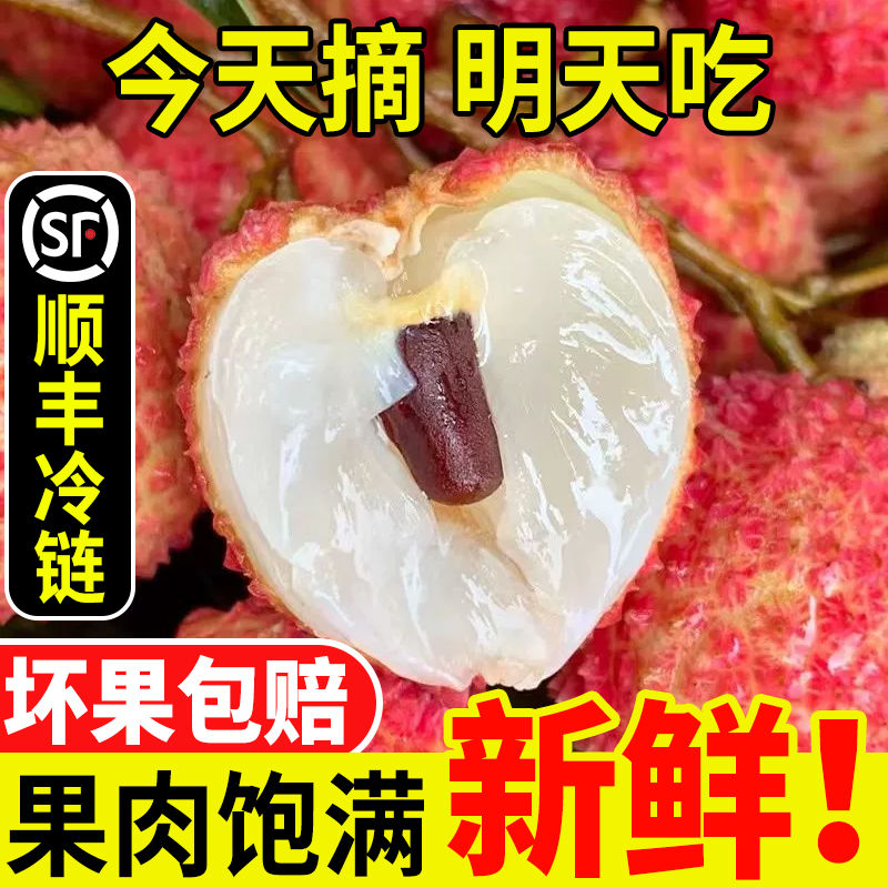 【现货现摘】增城从化桂味荔枝肉厚核小新鲜应季水果批发送人礼盒装