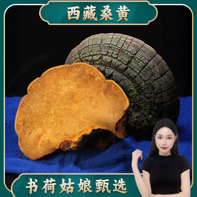 书荷姑娘 大个西藏桑黄250g灵芝林芝煮水煲汤泡酒食用