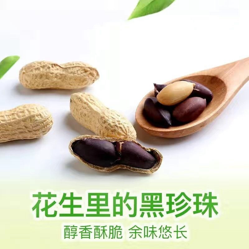 新鲜带壳黑花生 生吃甘甜的坚果零食自然晾晒可吃可种干花生
