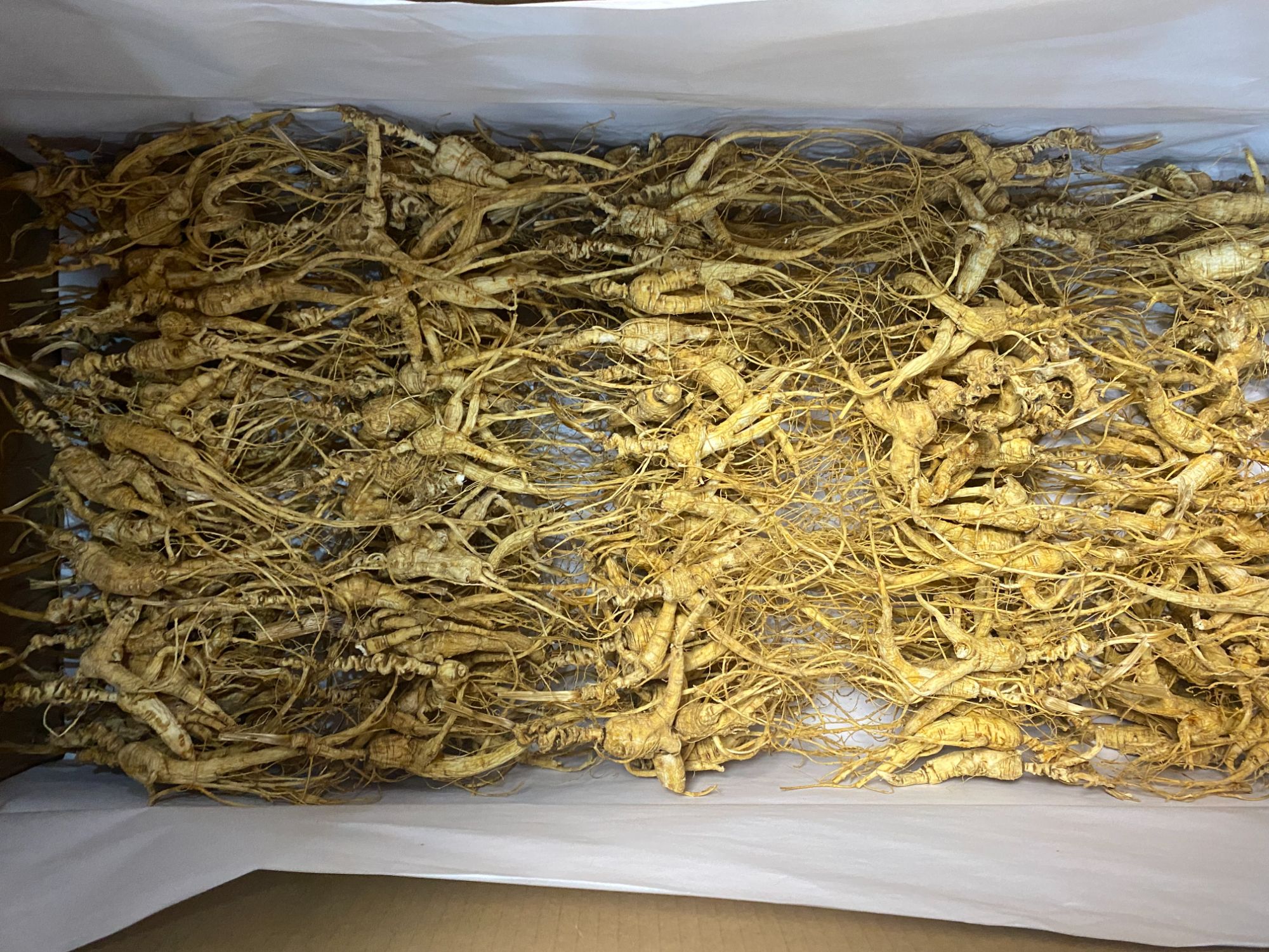 东北林下参老残籽煲汤泡水打粉品相残七米人参一克