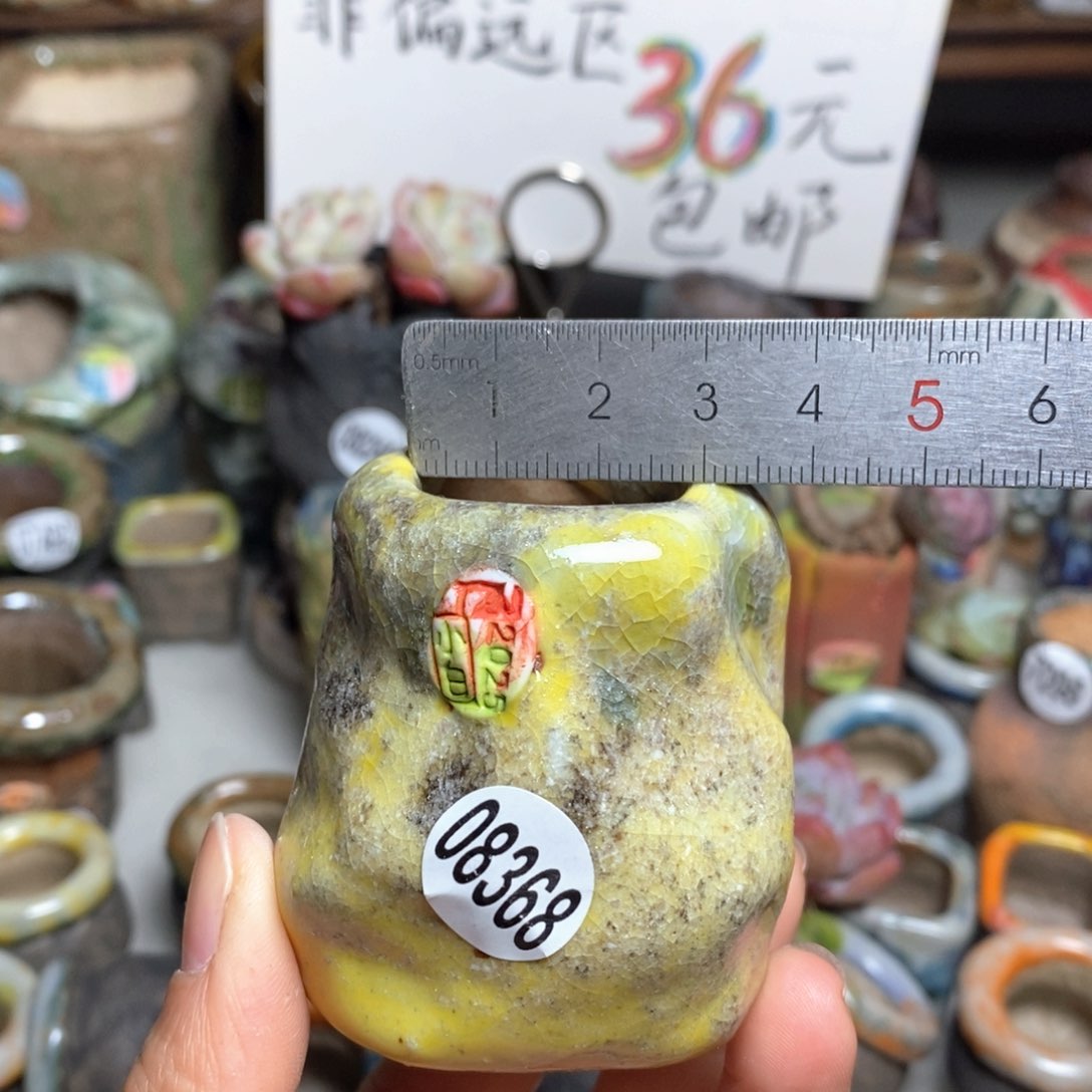 花盆拍3送一个小礼物