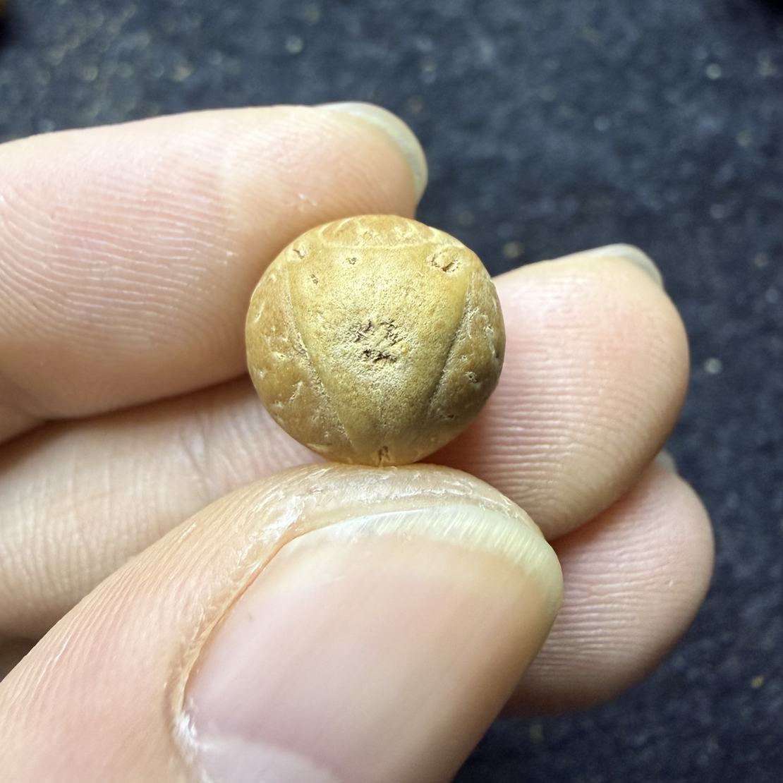 12mm凤眼菩提麒实心籽实心龙眼，厚度11.7mm，非质量问题开孔不退换