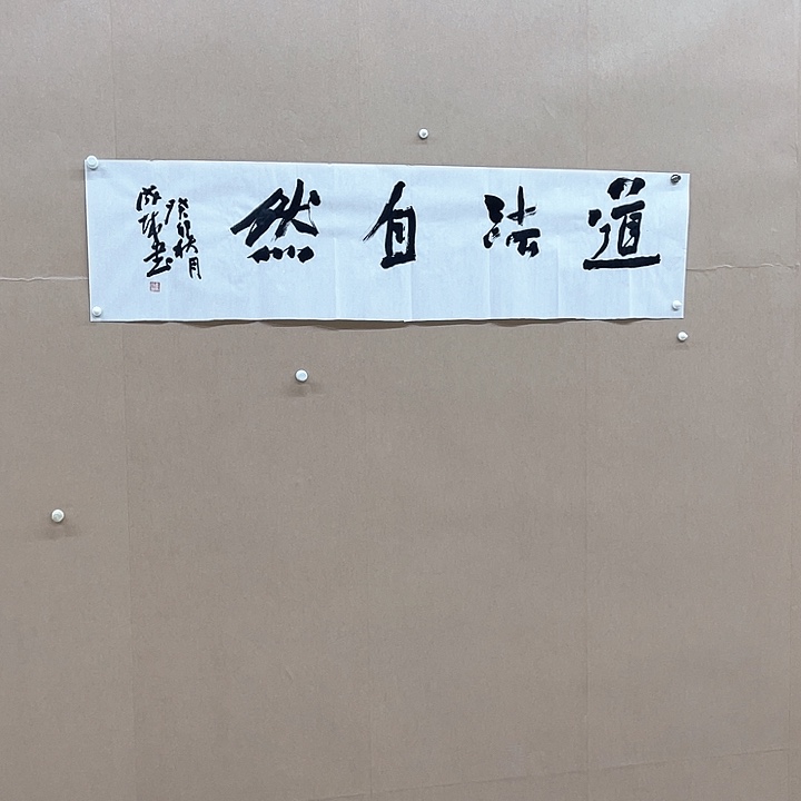 书法李      成城34*138㎝甘肃  硕S***
