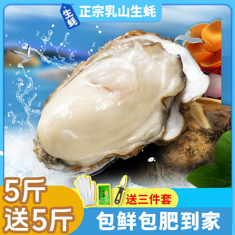 【买5斤送5斤】正宗乳山生蚝原产地直发海蛎子包肥美精品级牡蛎10斤