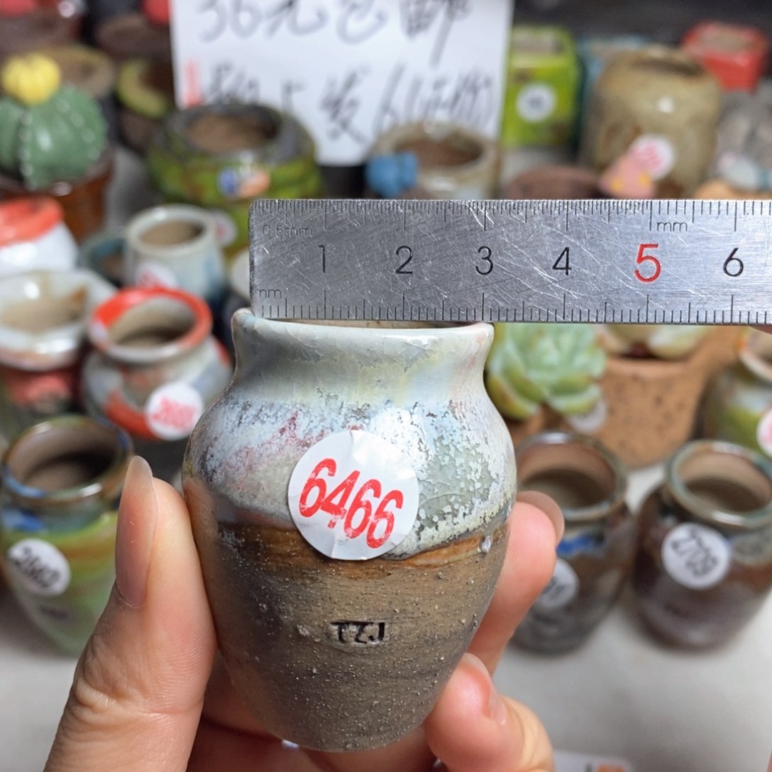 拍5送一个小礼物