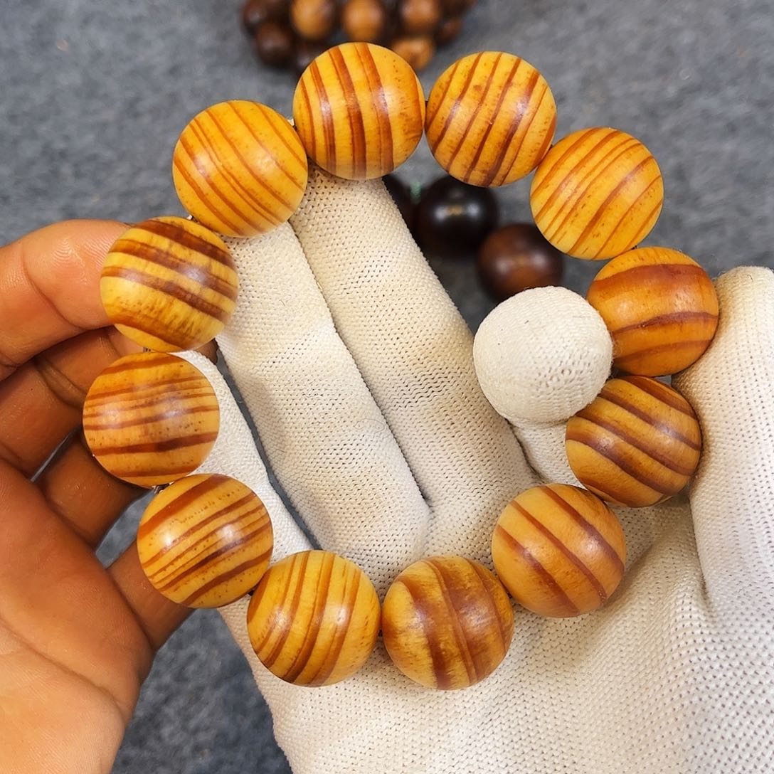 柏木（崖柏）太行崖柏