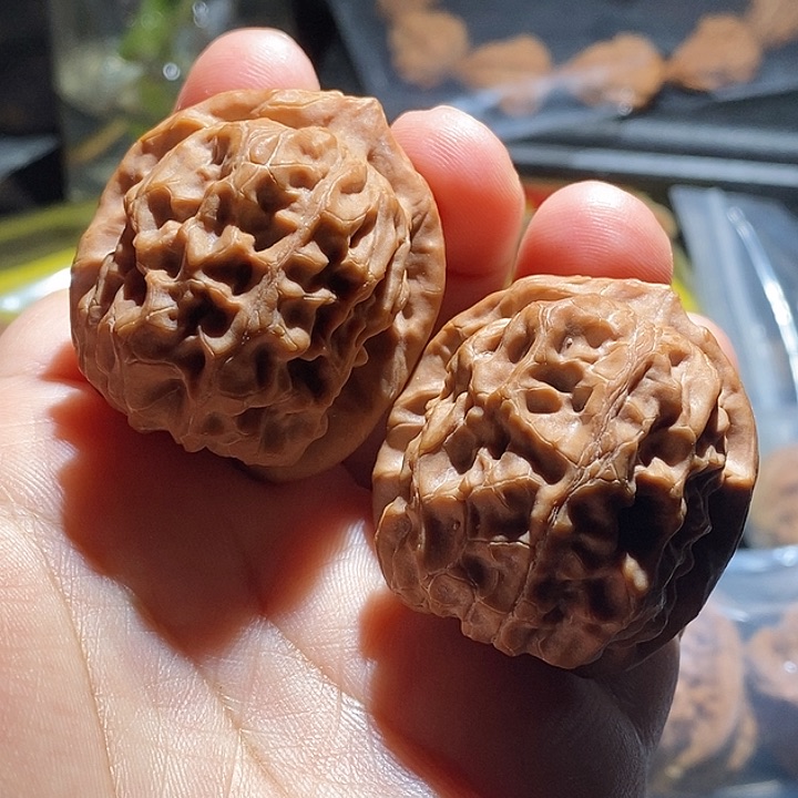 【闪购商品】吊坠文玩核桃核欢