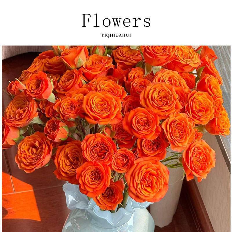 橙色芭比多头玫瑰真花超长花期北欧轻奢客厅桌花ins风高级感